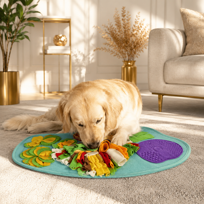 Orbly SniffQuest™ Enrichment Snuffle Pad